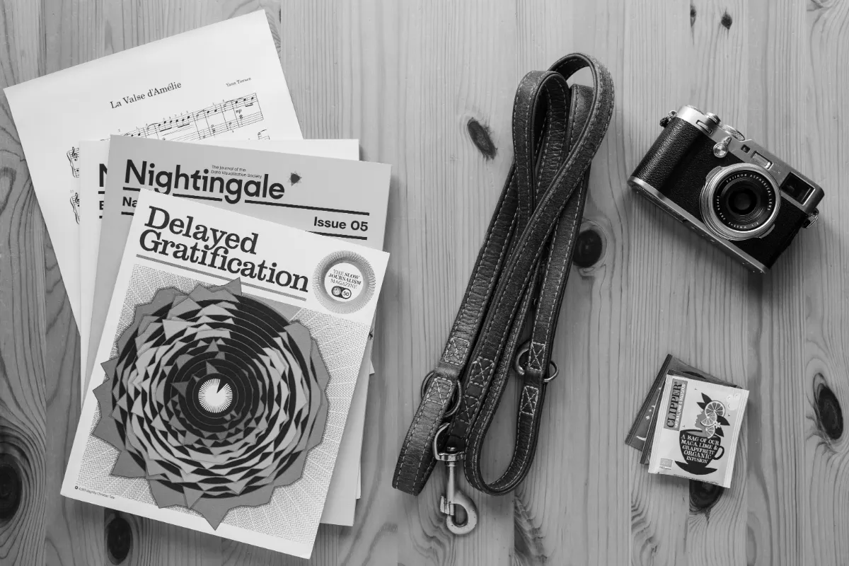 Magazines, music sheet, dog leash, camera and tea bags